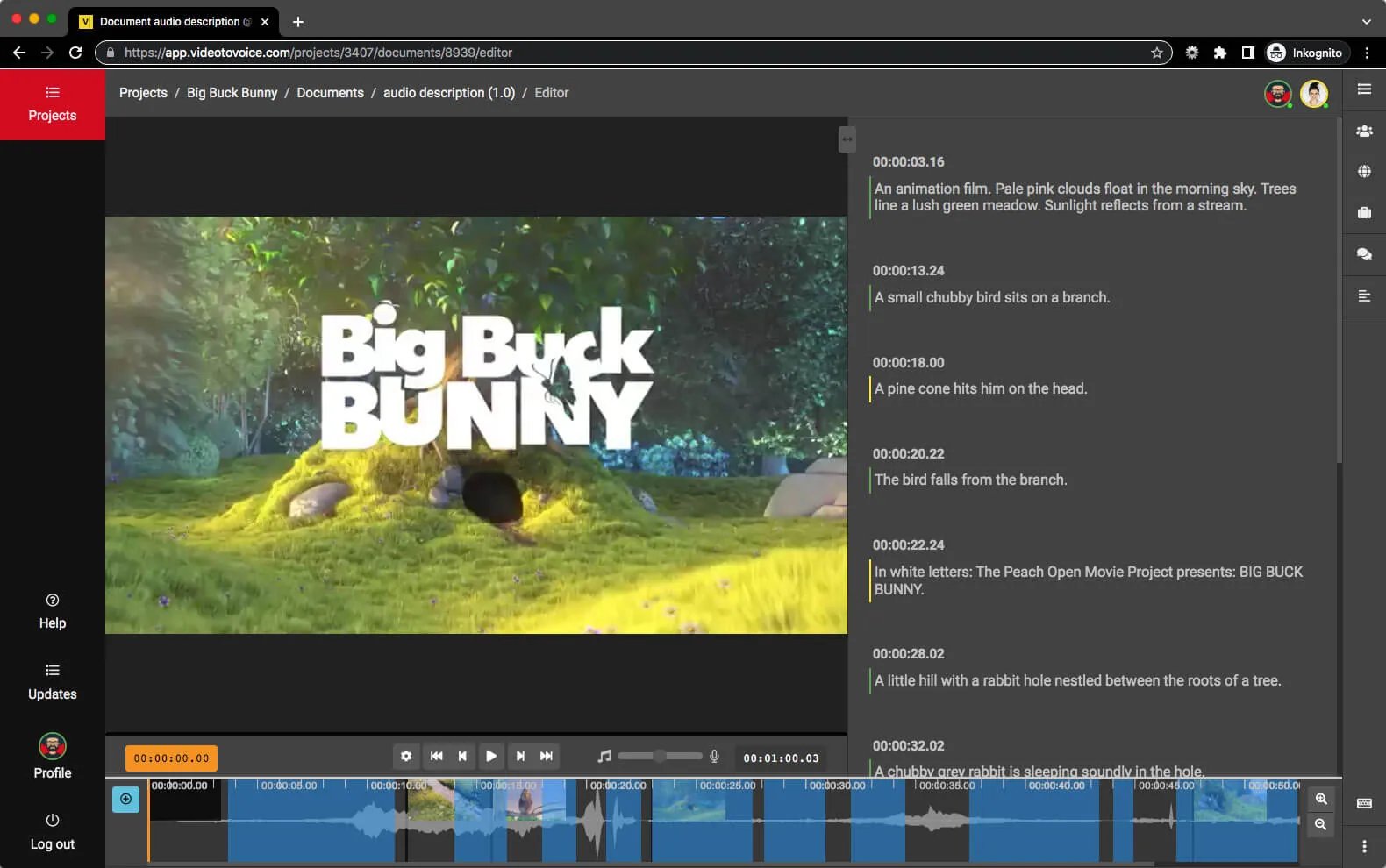 Screenshot of Frazier's editor